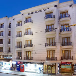 Hotel Black Tulip, Istanboel